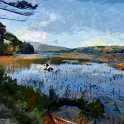 Pond
